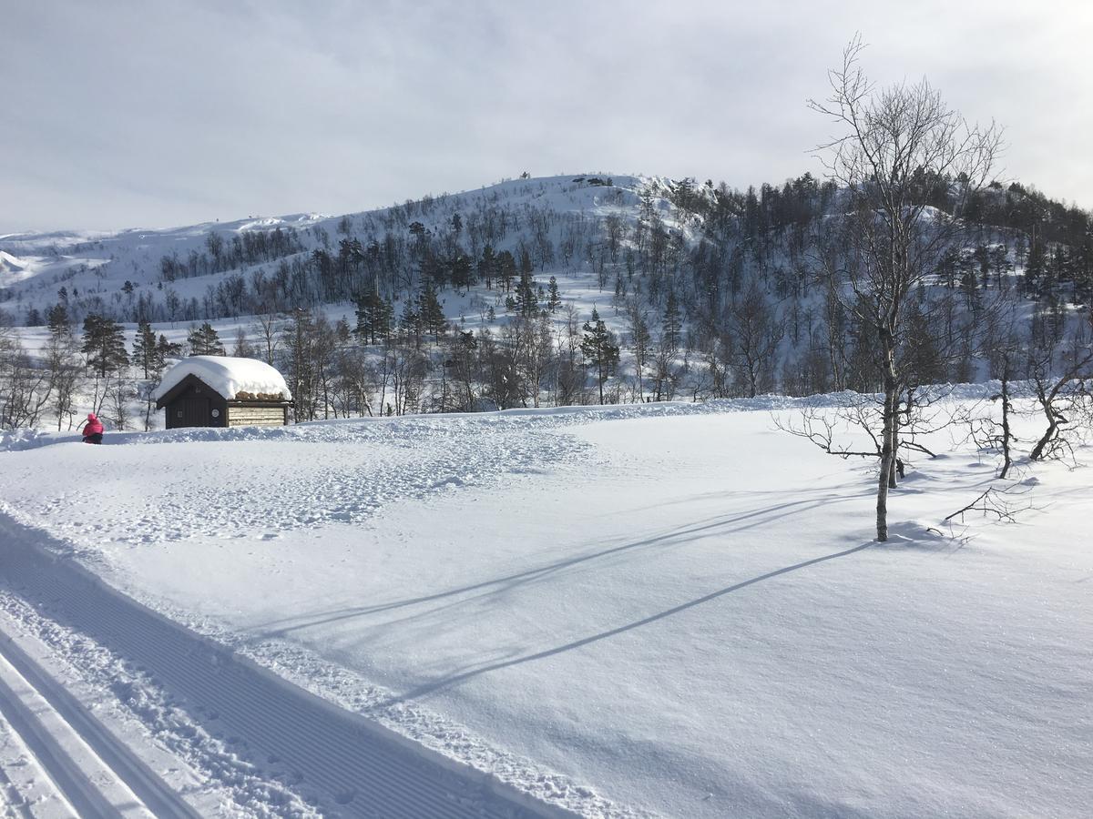 Kvamseter Lodge Eikedalen Εξωτερικό φωτογραφία