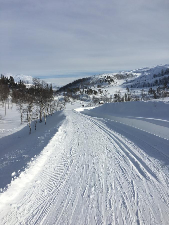 Kvamseter Lodge Eikedalen Εξωτερικό φωτογραφία